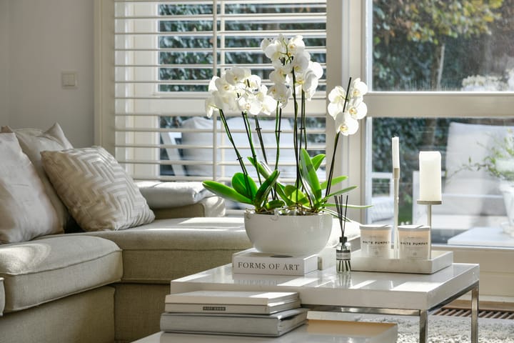 Photo 6 of Vondelstraat 3