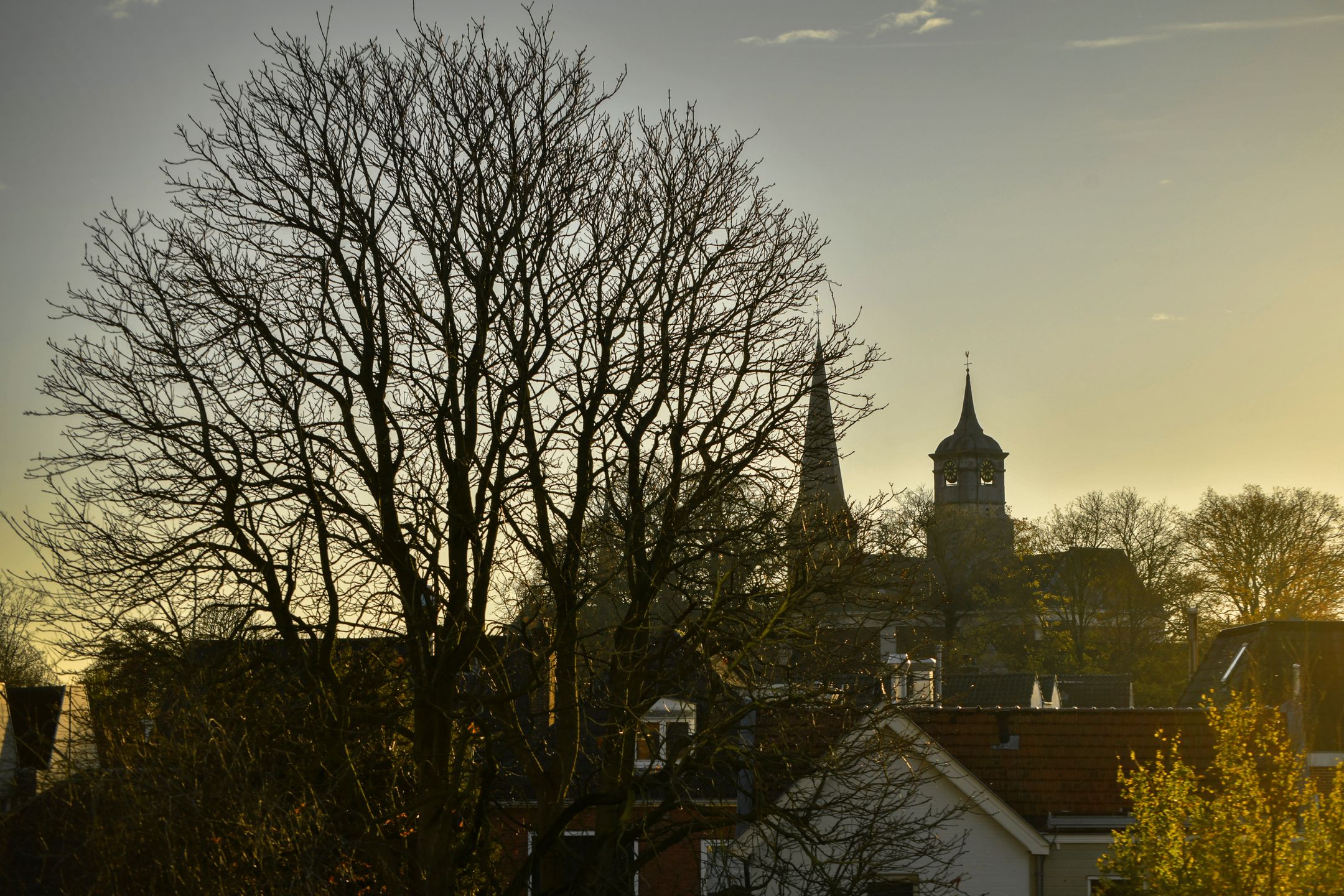 Foto 42 van Vondelstraat 3