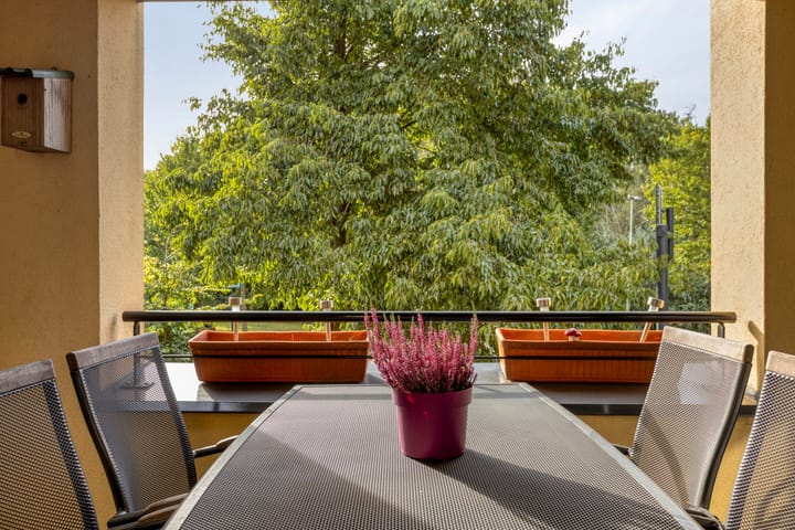 Foto 23 van Mies Ruthplaats 22