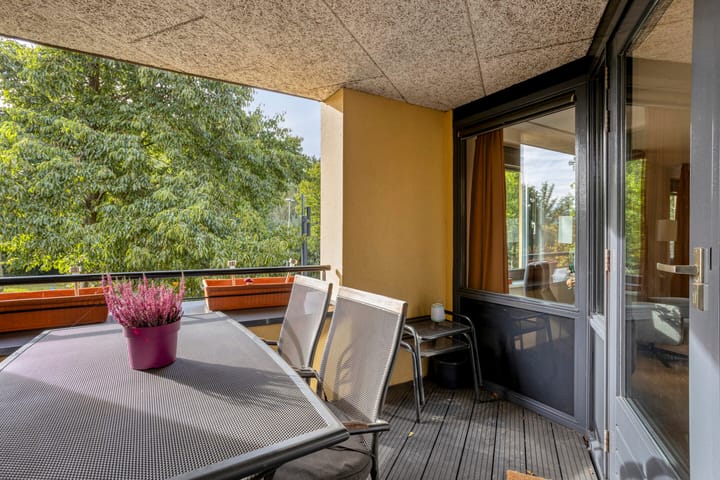 Foto 24 van Mies Ruthplaats 22