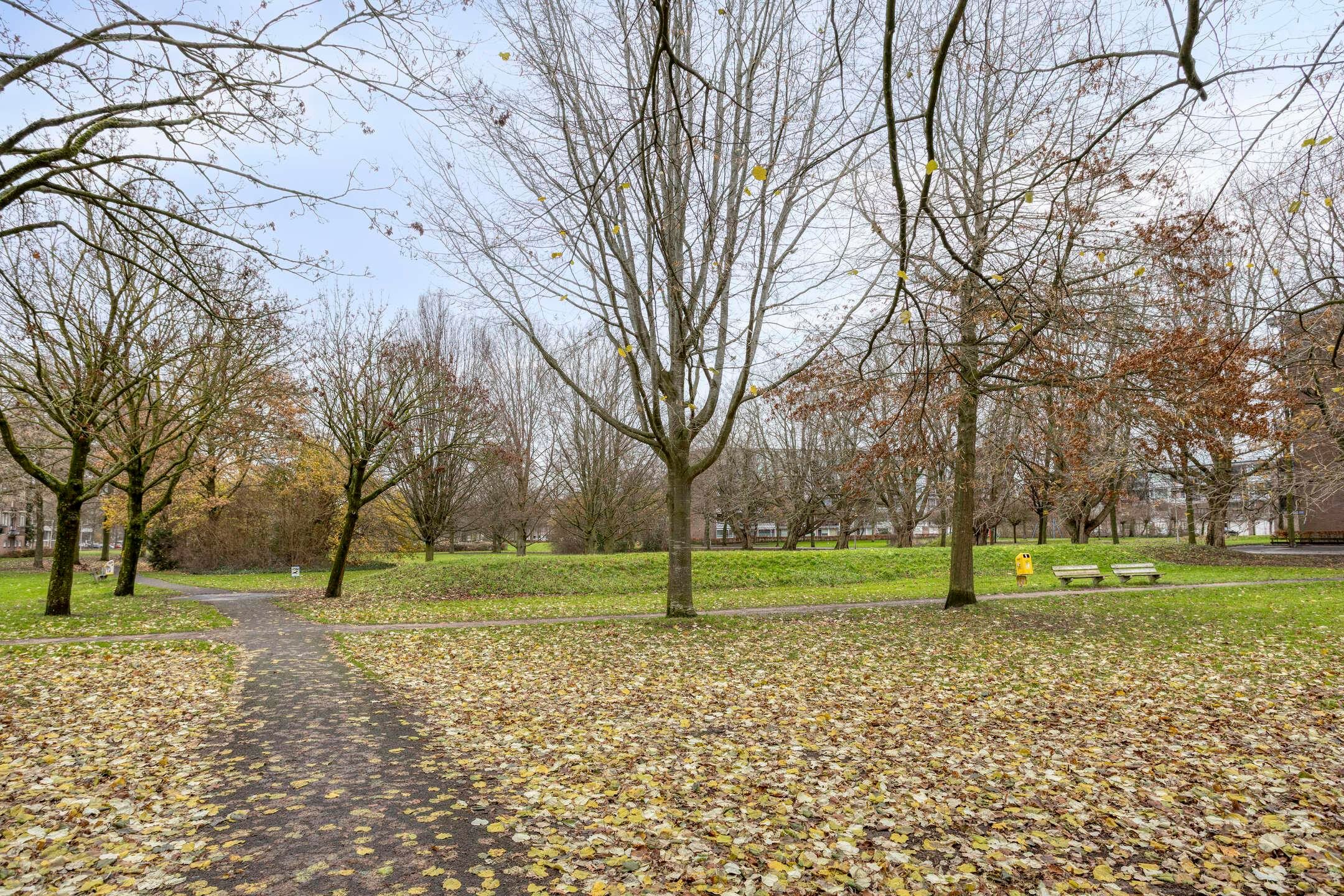 Foto 33 van Beethovenlaan 558