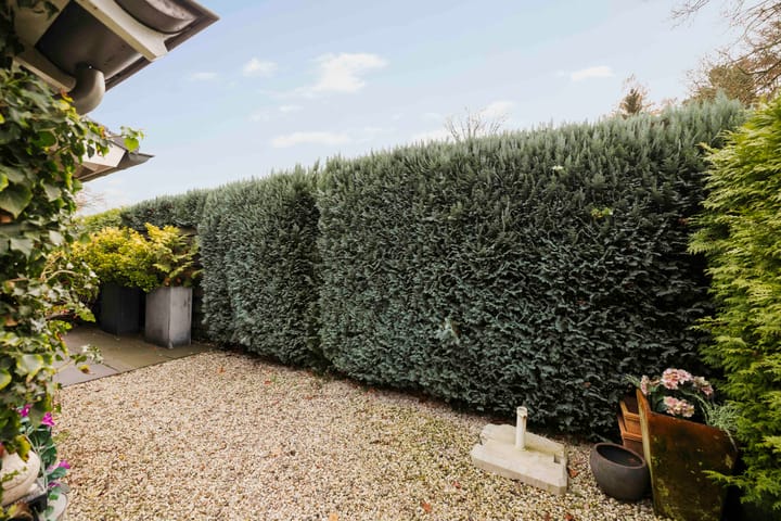 Foto 47 van Oude Binnenweg 10