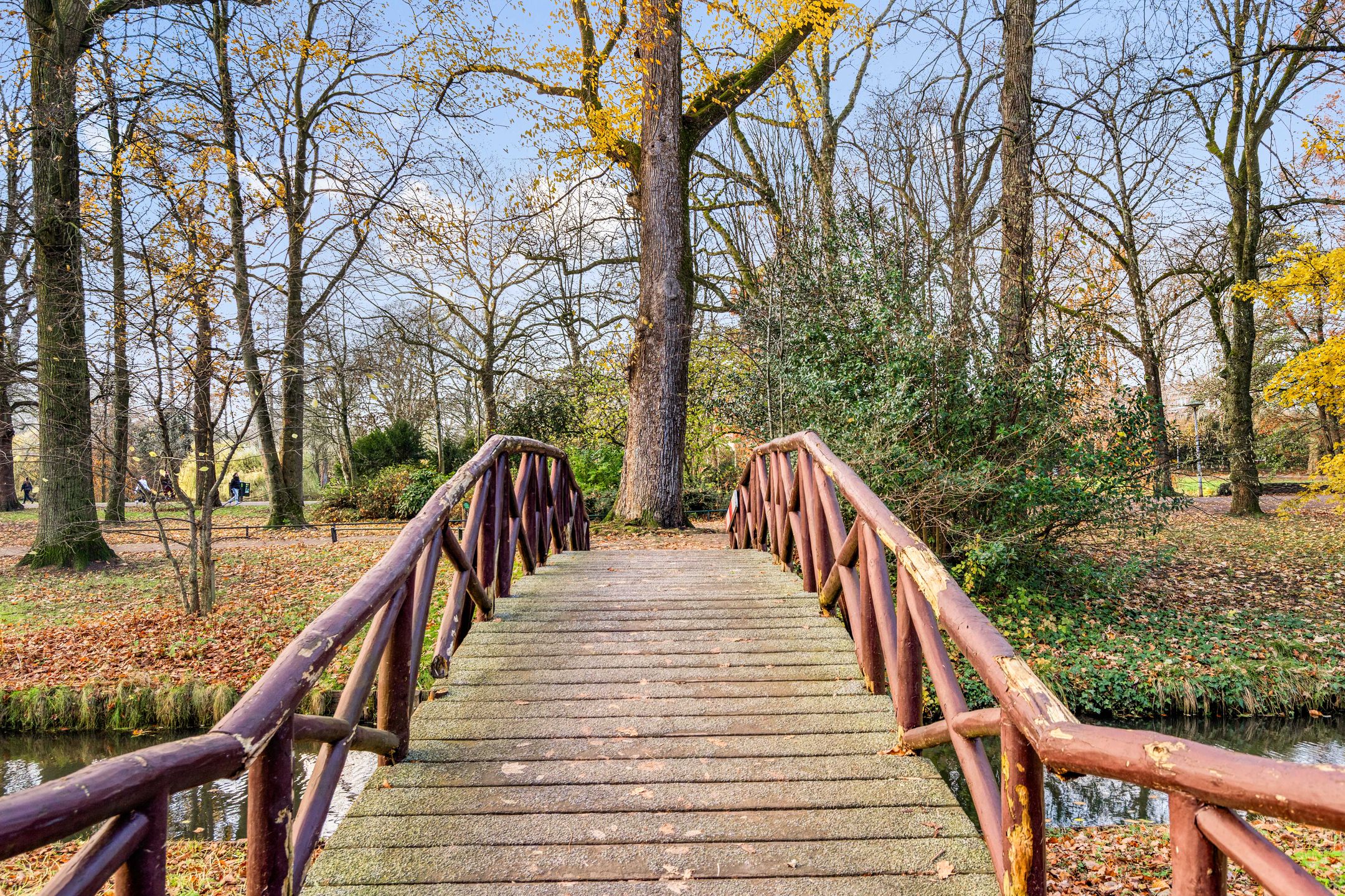 Foto 48 van Hendrick de Keyserstraat 62