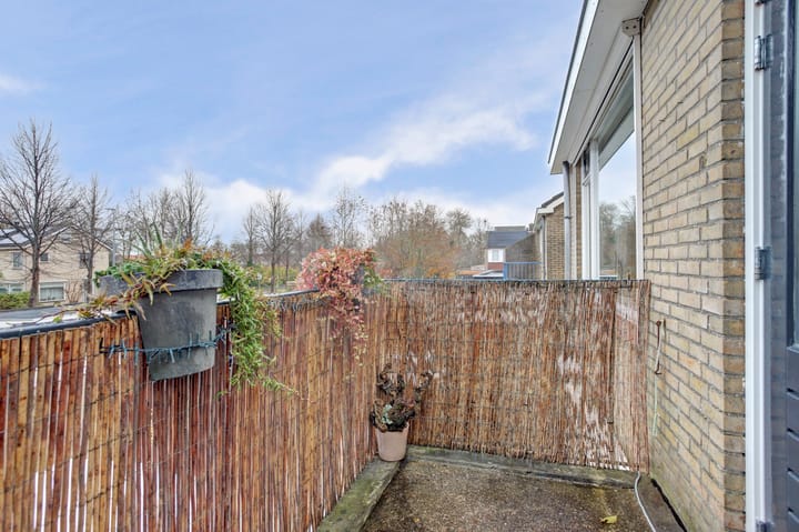 Photo 17 of Jupiterstraat 6-A