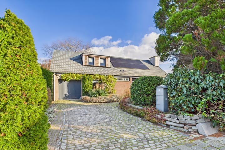 Foto 5 van Dorus Rijkersstraat 6