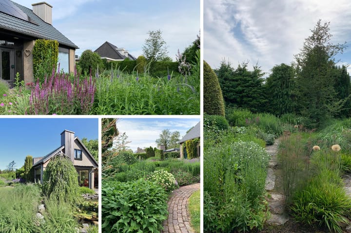 Foto 31 van Dorus Rijkersstraat 6