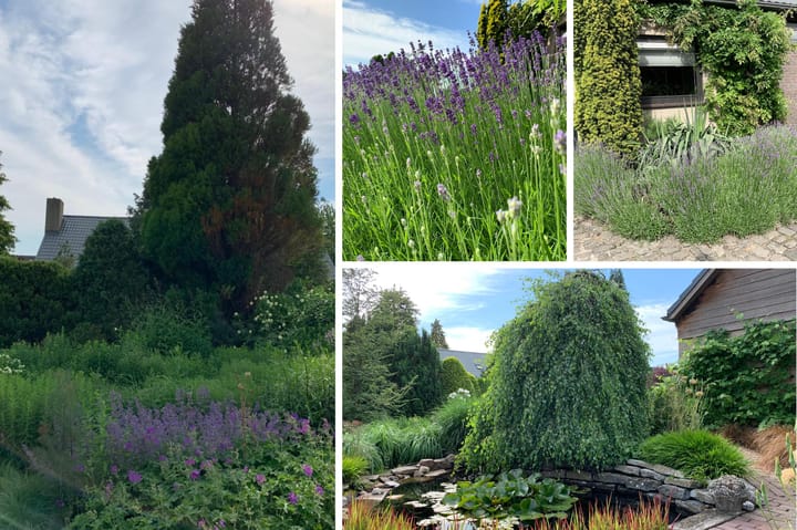 Foto 35 van Dorus Rijkersstraat 6