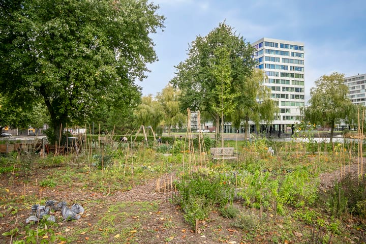 Foto 30 van Baden Powellweg 9