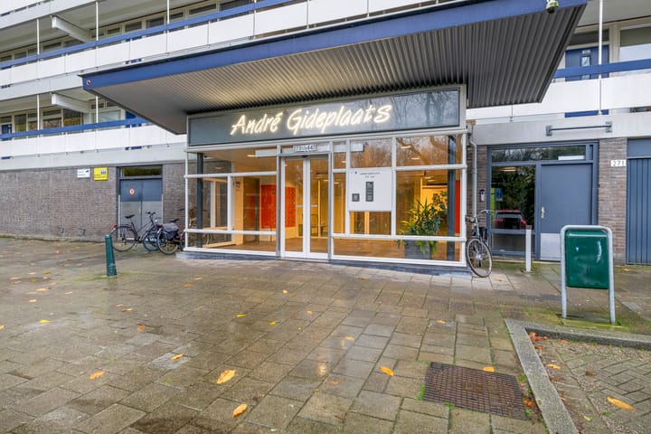 Foto 5 van André Gideplaats 313
