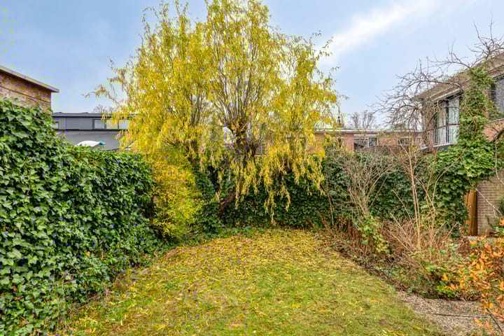 Foto 39 van Wilhelminastraat 9