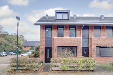 Zanglijster thumbnail