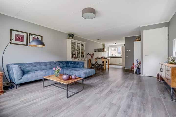 Foto 2 van Zanglijster 89