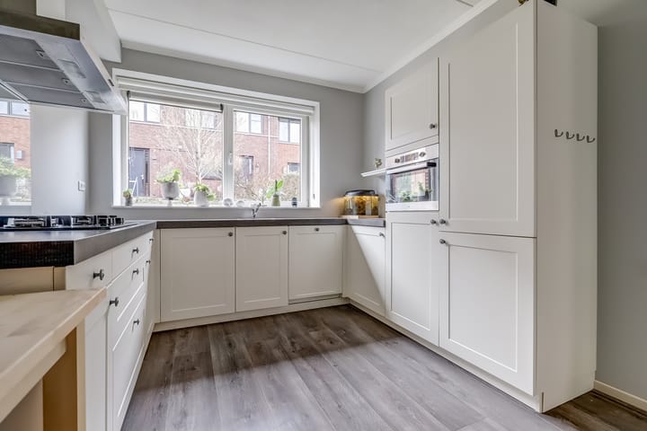 Foto 3 van Zanglijster 89