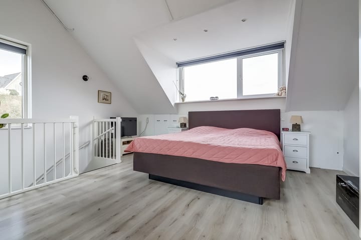 Foto 4 van Zanglijster 89