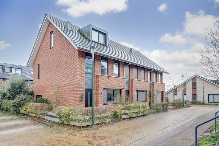 Foto 6 van Zanglijster 89