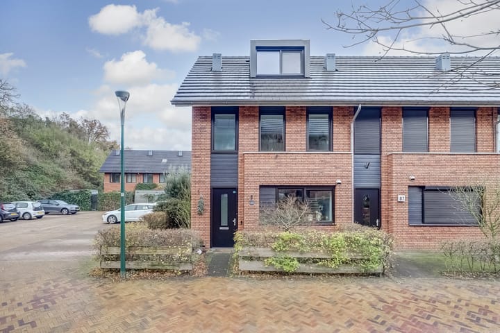 Foto 7 van Zanglijster 89