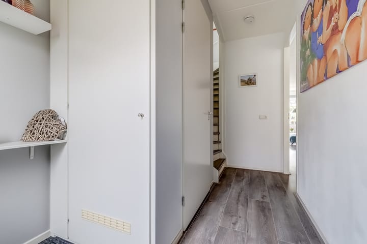 Foto 8 van Zanglijster 89