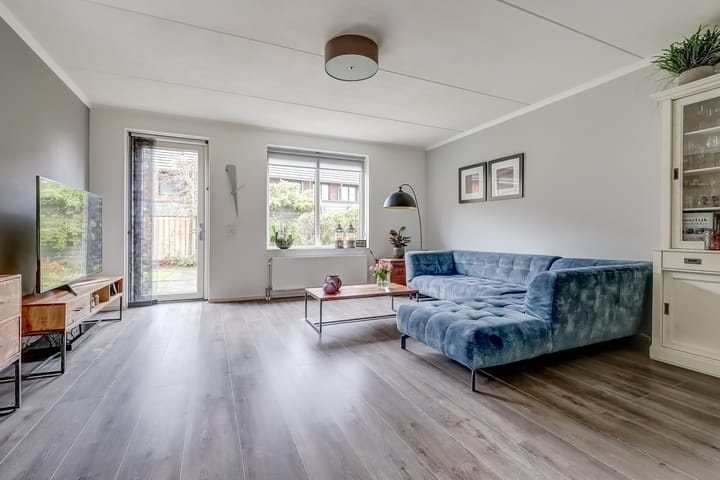 Foto 9 van Zanglijster 89