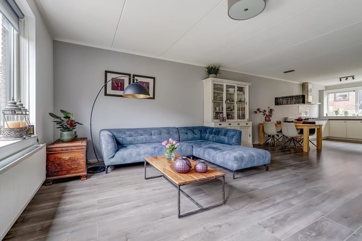 Foto 10 van Zanglijster 89