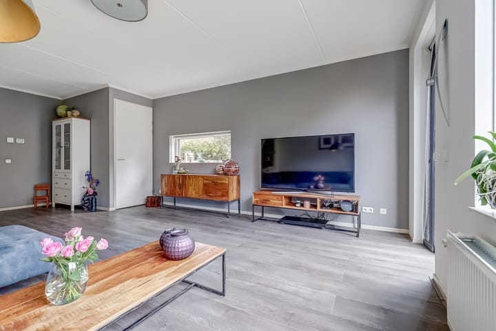 Foto 11 van Zanglijster 89