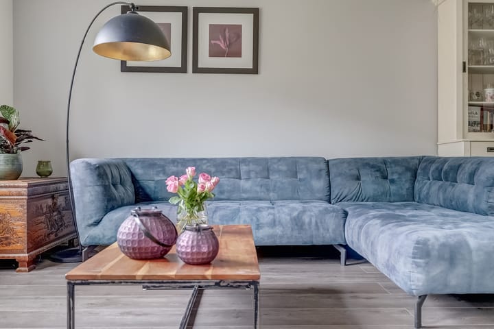 Foto 12 van Zanglijster 89