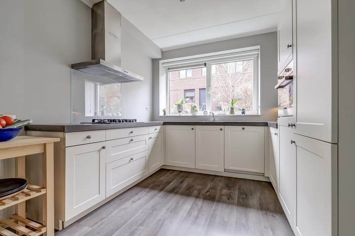 Foto 14 van Zanglijster 89