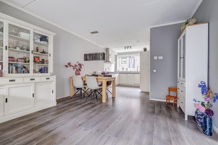 Foto 17 van Zanglijster 89