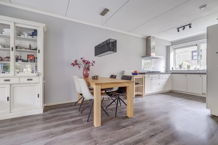 Foto 18 van Zanglijster 89