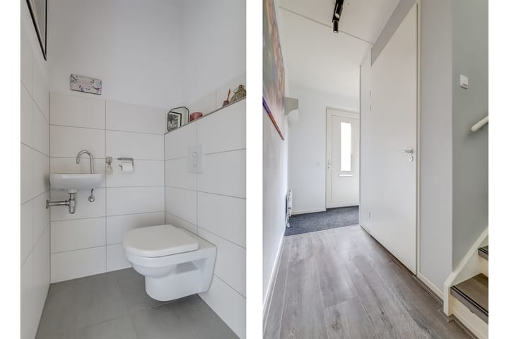 Foto 21 van Zanglijster 89