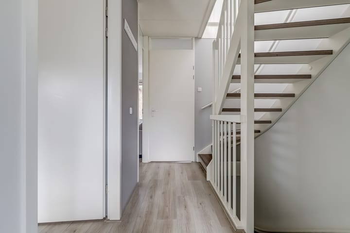 Foto 22 van Zanglijster 89