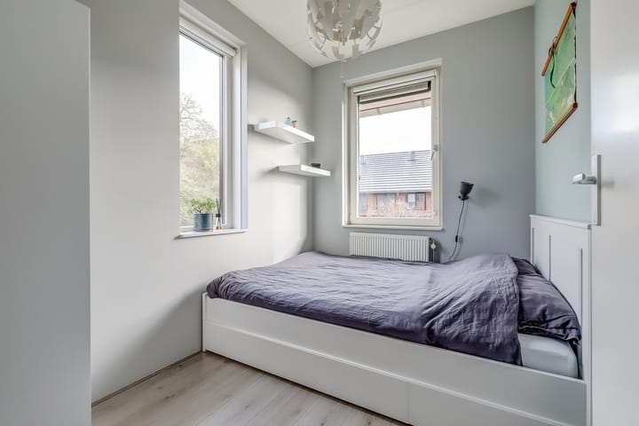 Foto 23 van Zanglijster 89