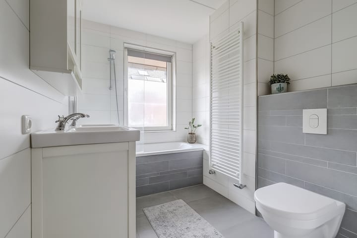 Foto 29 van Zanglijster 89