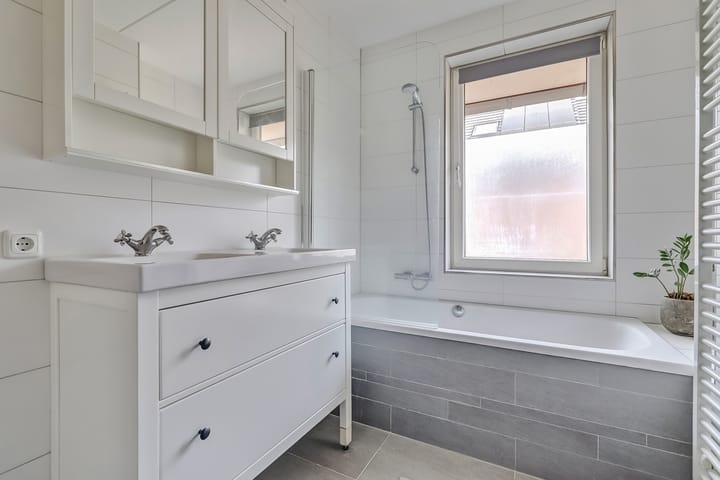 Foto 30 van Zanglijster 89