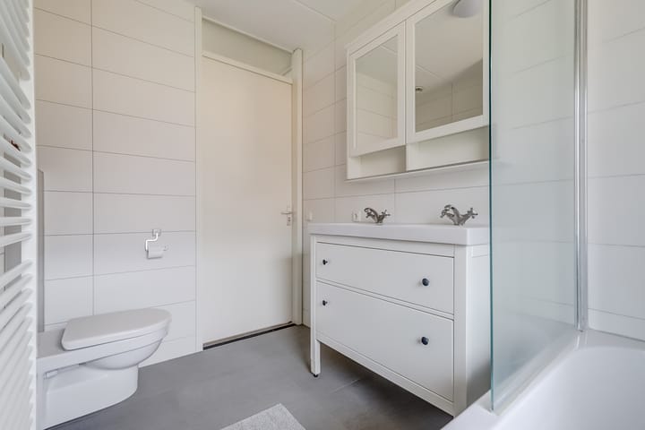 Foto 31 van Zanglijster 89