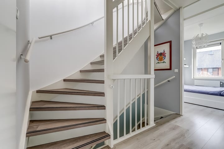 Foto 32 van Zanglijster 89