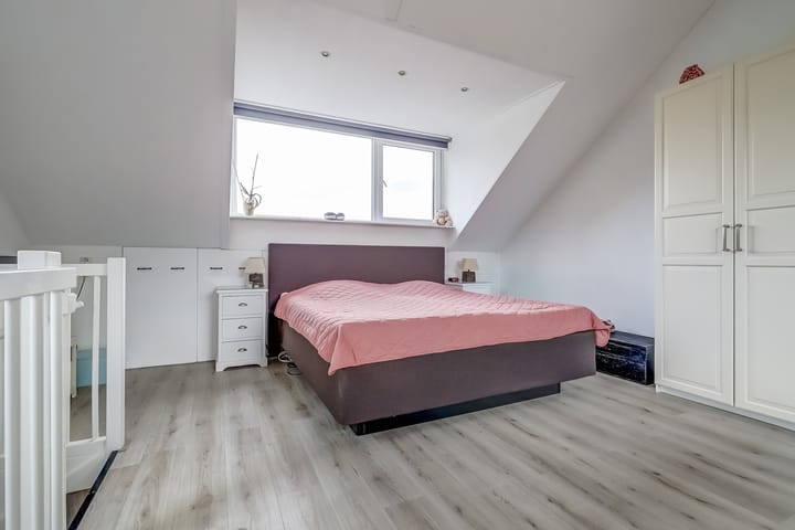 Foto 35 van Zanglijster 89