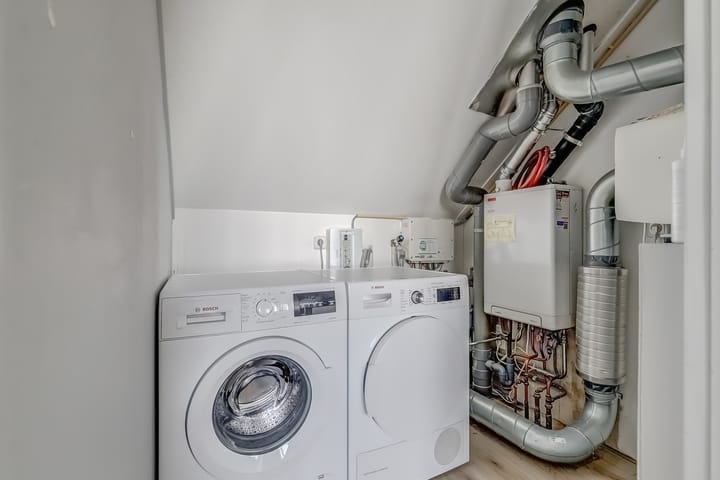 Foto 38 van Zanglijster 89