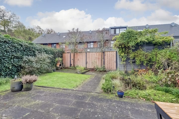 Foto 39 van Zanglijster 89