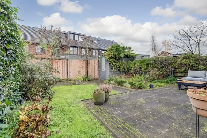 Foto 40 van Zanglijster 89