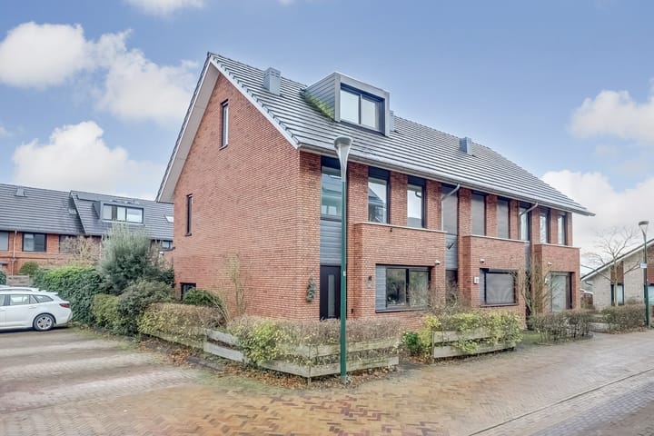 Foto 46 van Zanglijster 89