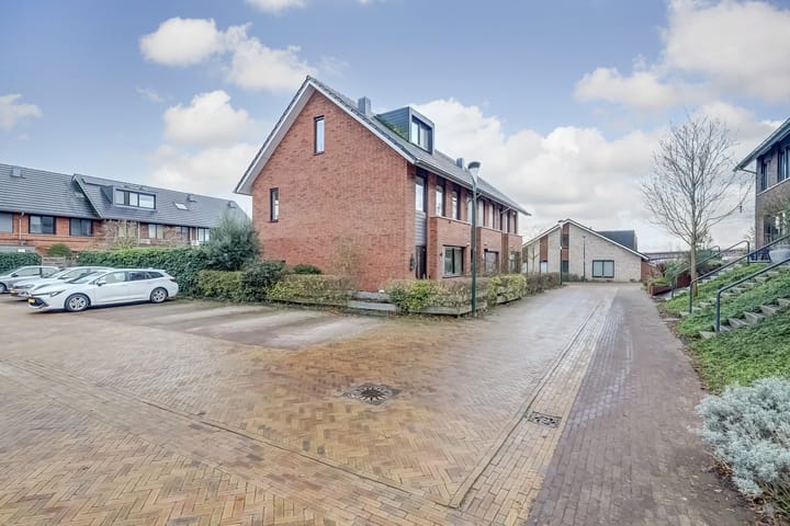 Foto 47 van Zanglijster 89