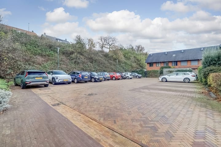 Foto 48 van Zanglijster 89