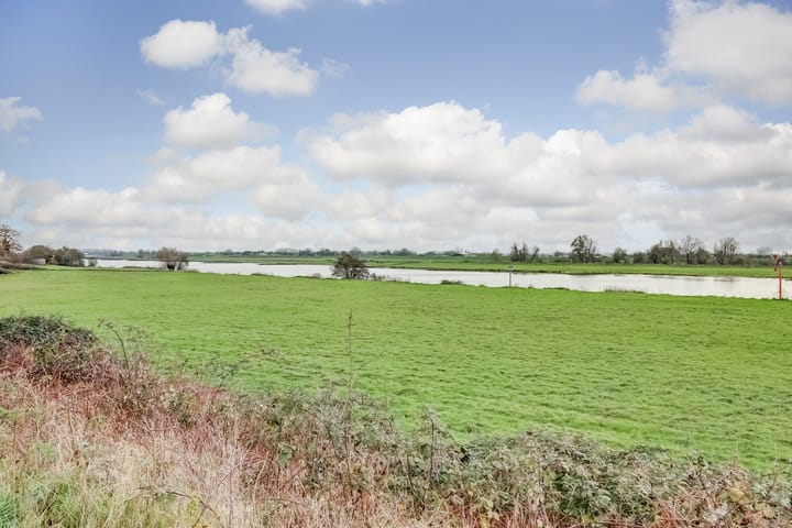 Foto 49 van Zanglijster 89