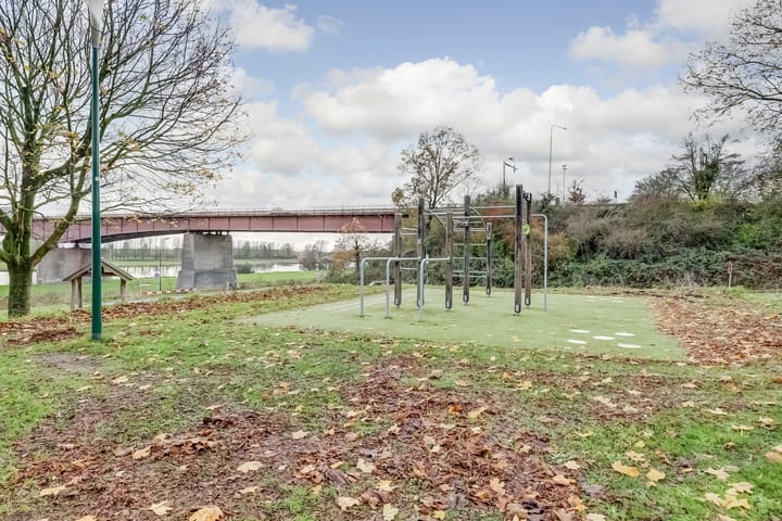 Foto 50 van Zanglijster 89