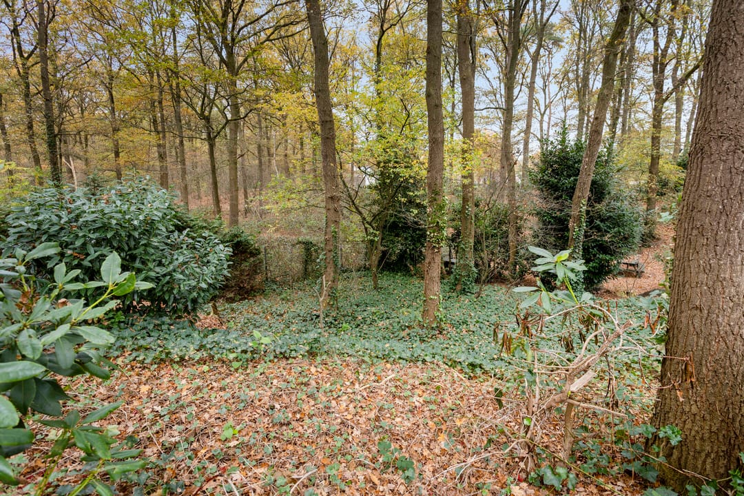 Foto 32 van Gemmadal 14