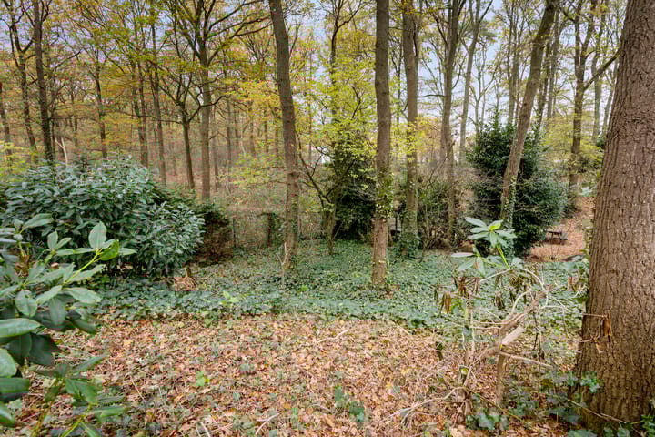 Photo 32 of Gemmadal 14