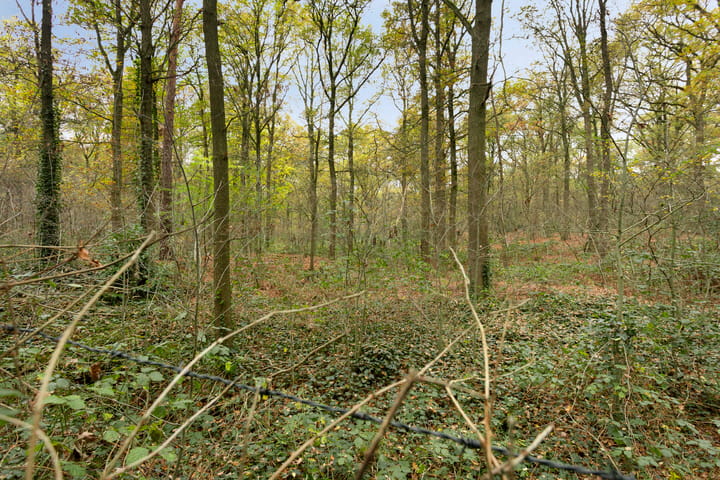 Photo 40 of Gemmadal 14