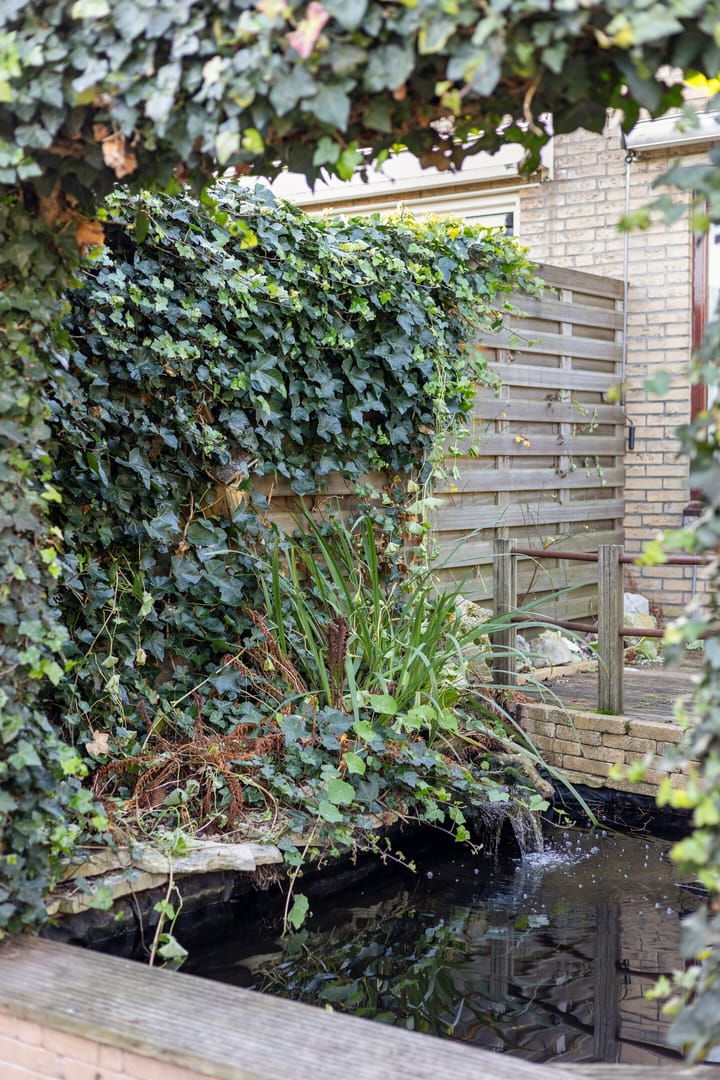 Foto 45 van Willem Barentsstraat 29