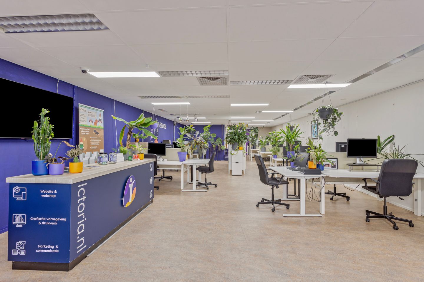 View photo 4 of Koorstraat 53