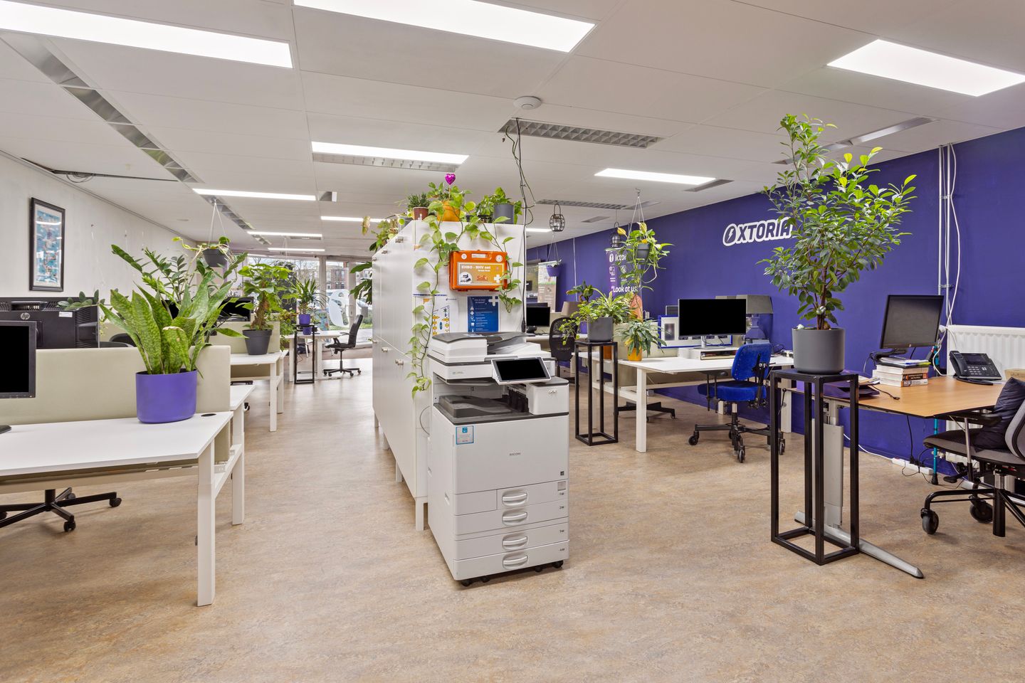 View photo 5 of Koorstraat 53